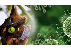 СЭРЭМЖЛҮҮЛЭГ